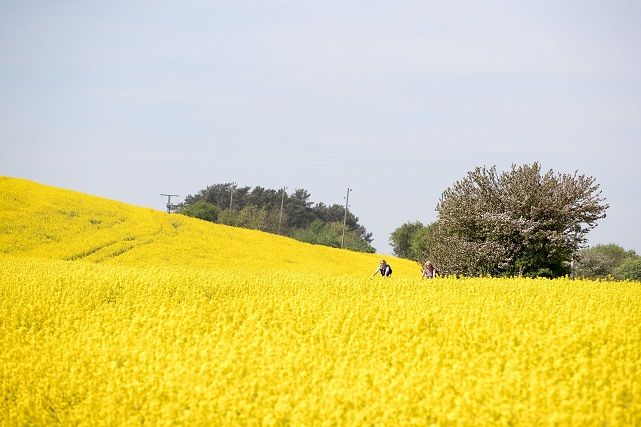 Radfahren - 