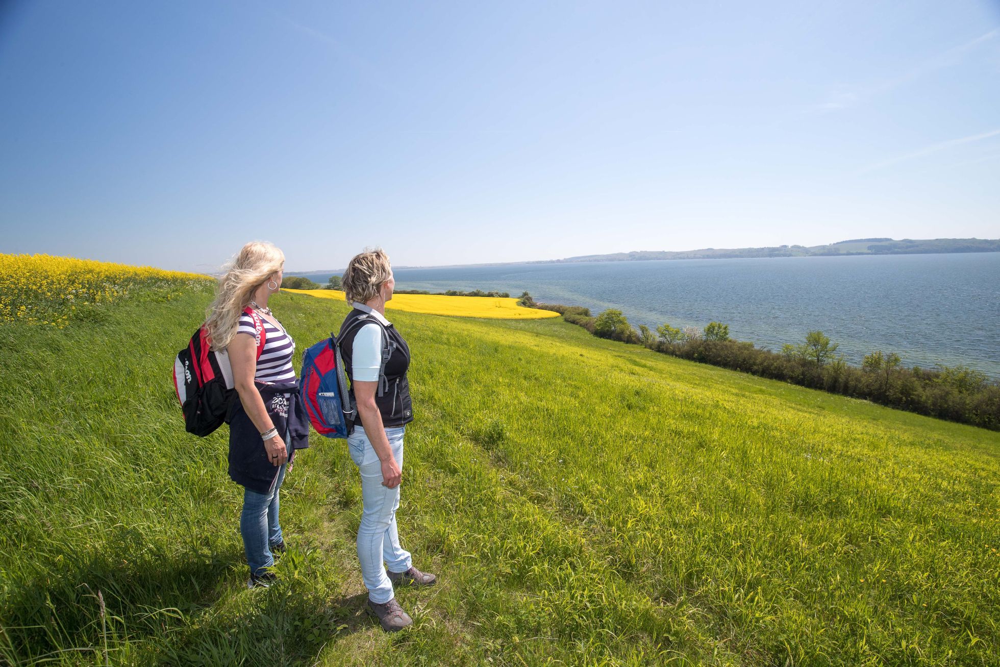 Goehren Wandern5 Spaziergänge