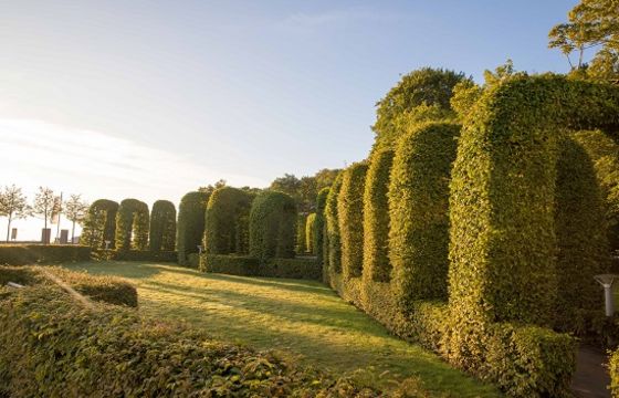 Bernsteinpromenade Natur Kultur Ostseebad Gohren Auf Rugen