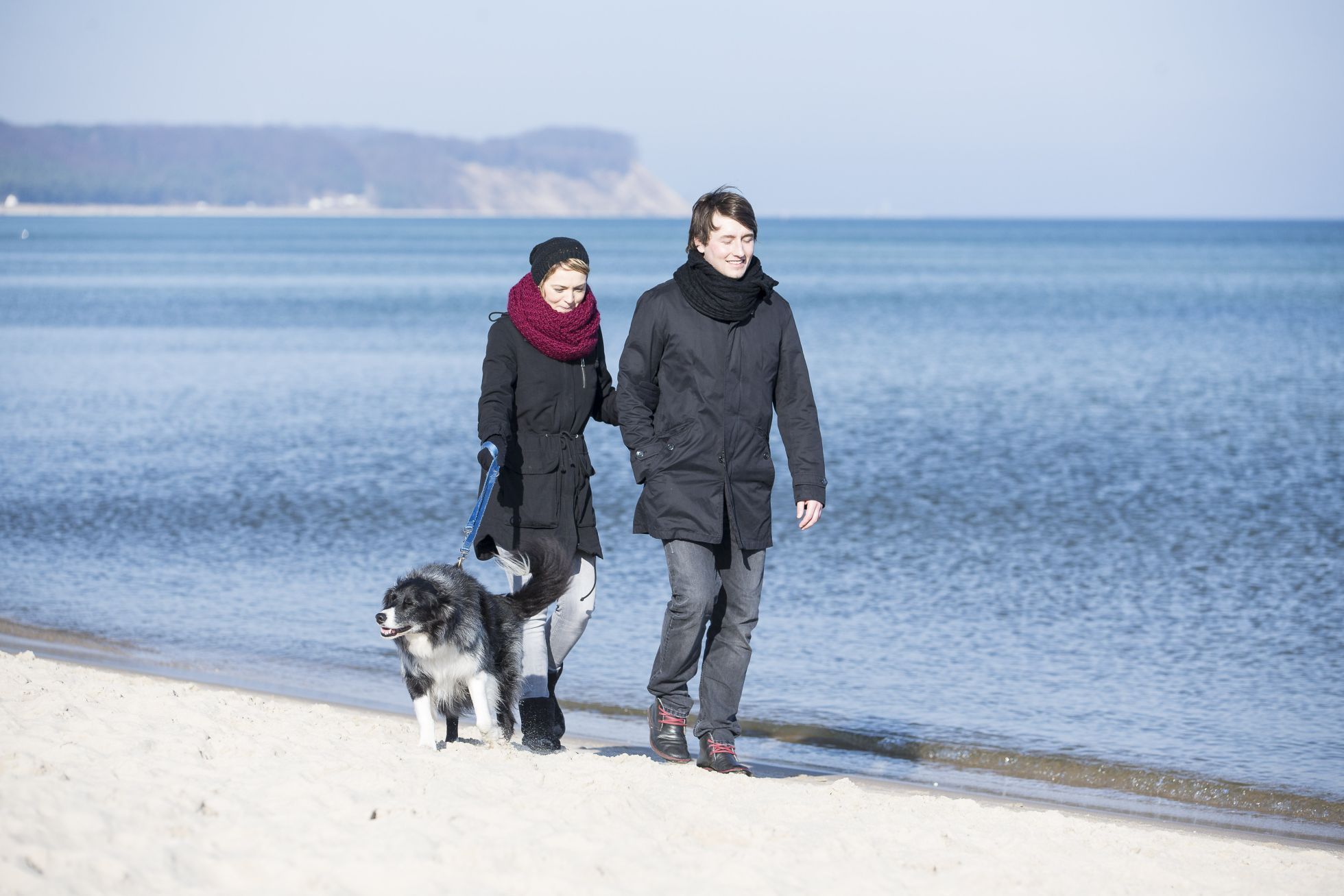 Goehren Strand Hund3