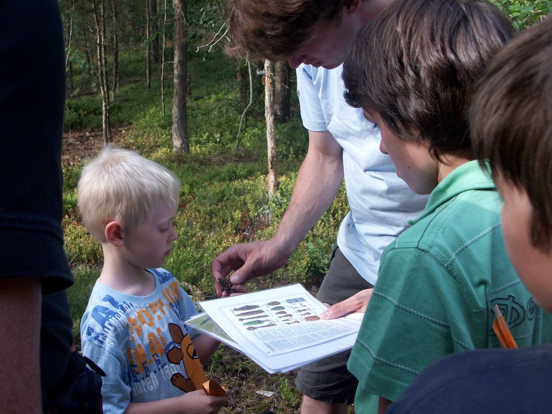 Fährtenlesen - Waldbewohnern auf der Spur