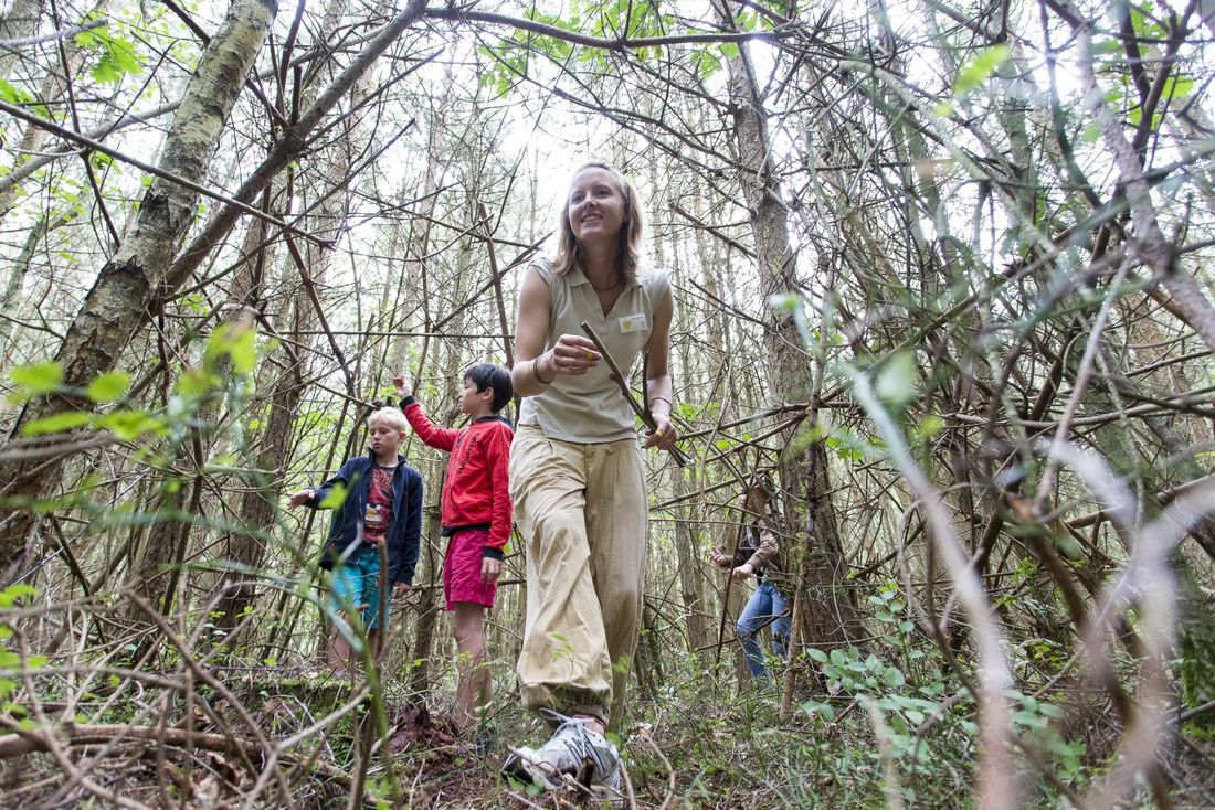 Naturforscher - Entdeckungen im Küstenwald