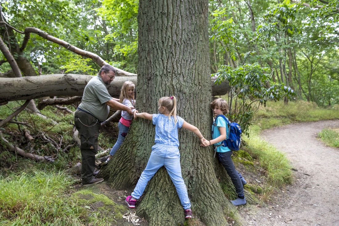 Abenteuer Nordperd - Für unsere kleinen Gäste*