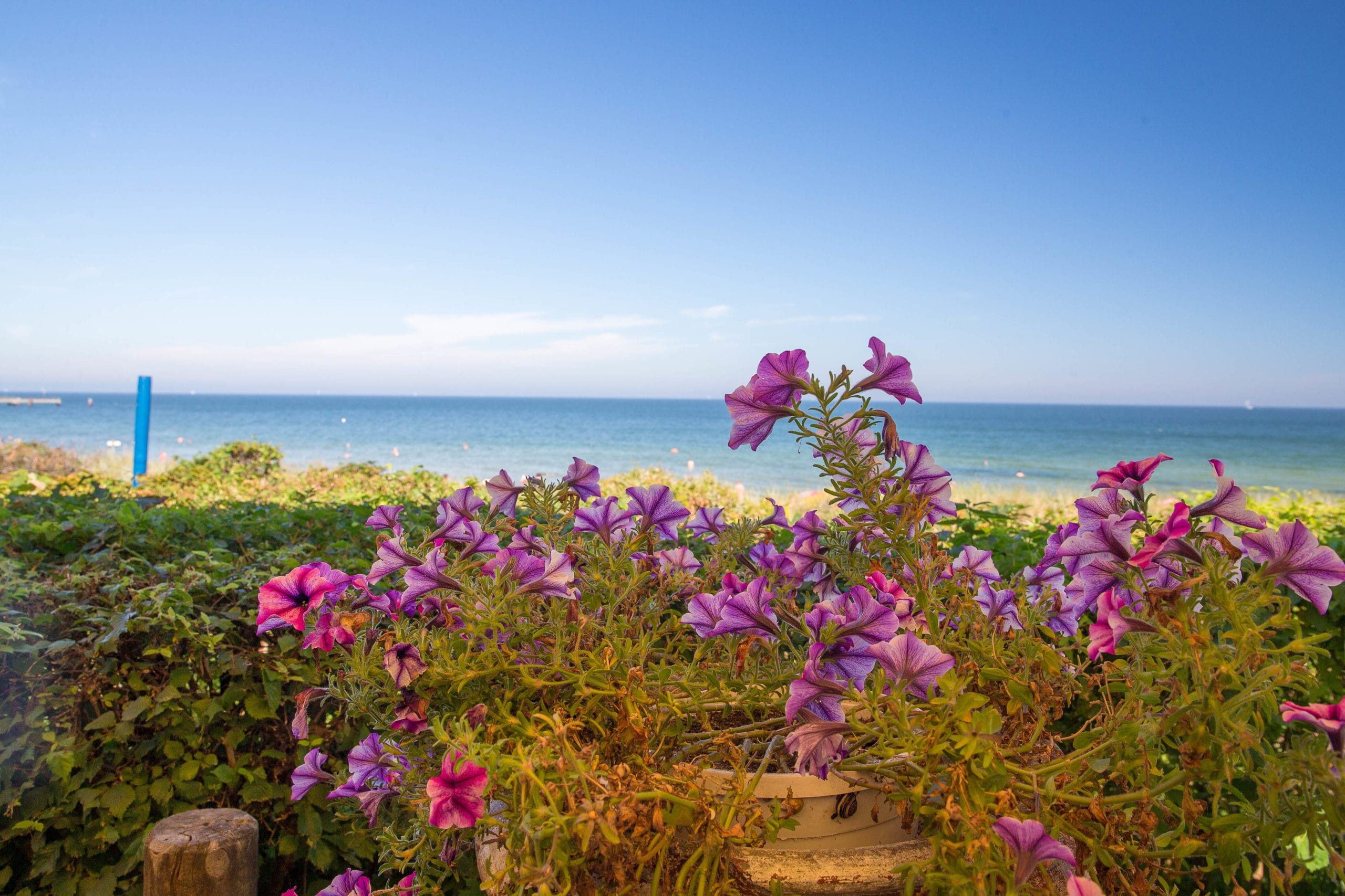 Sommer im Ostseebad Göhren … da müsst ihr dabei sein …