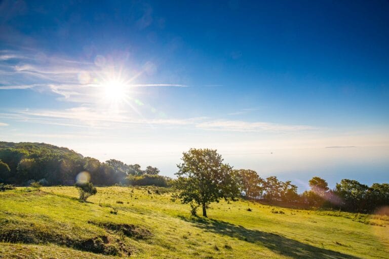 Eure nächsten Highlights im Ostseebad Göhren…