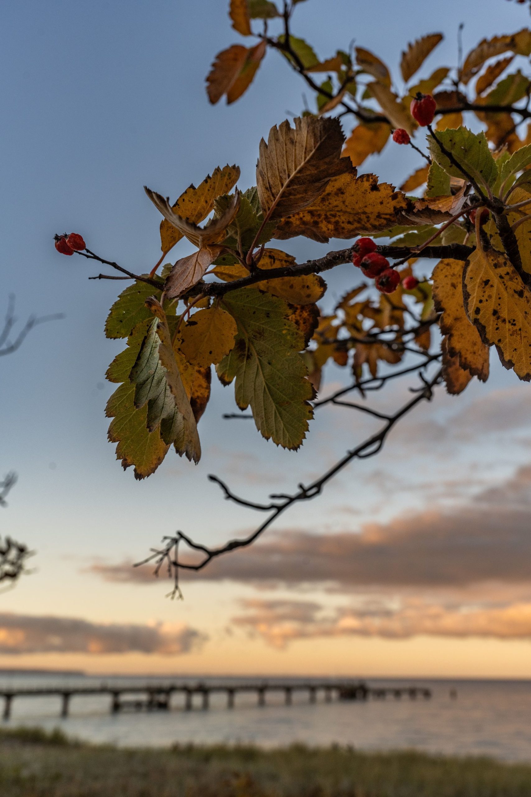 Programmflyer Gast-Geber-Woche November 2025