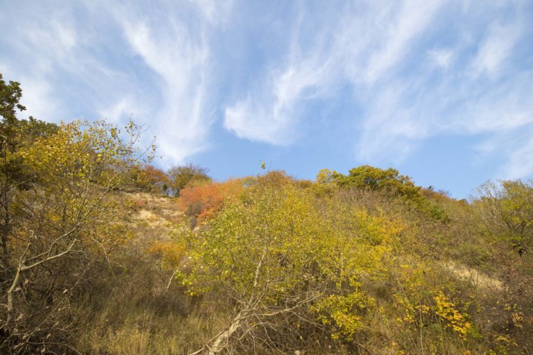 Ausblick auf die Gastgeberwoche im Herbst 2025 und mehr