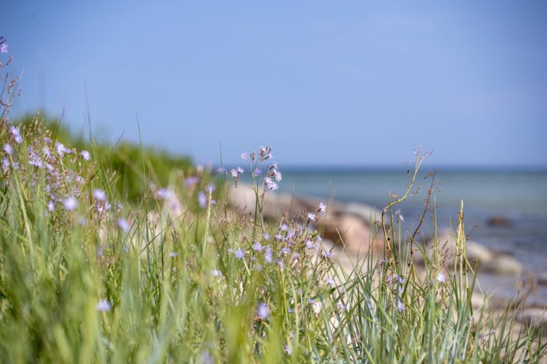 Auf in den Frühling – da müsst ihr dabei sein