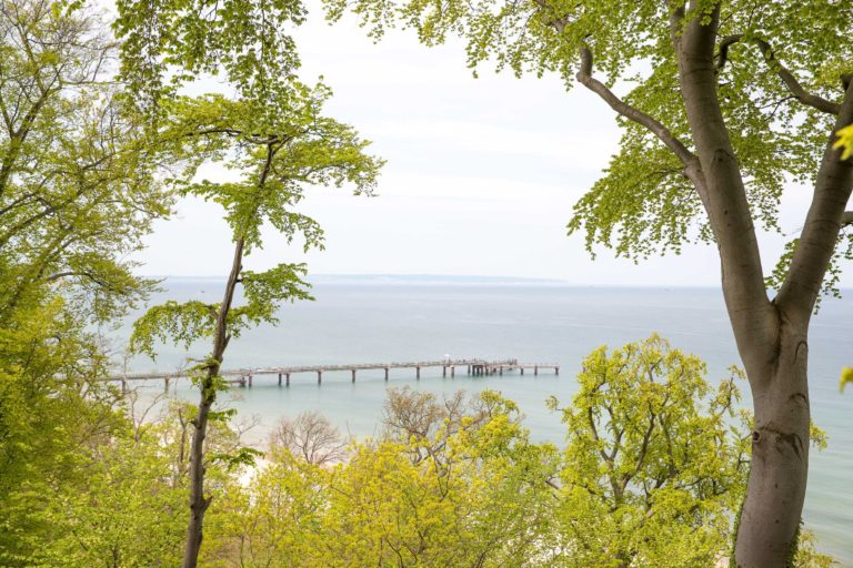 Erlebt den Frühling im Ostseebad Göhren – diese Highlights erwarten Euch