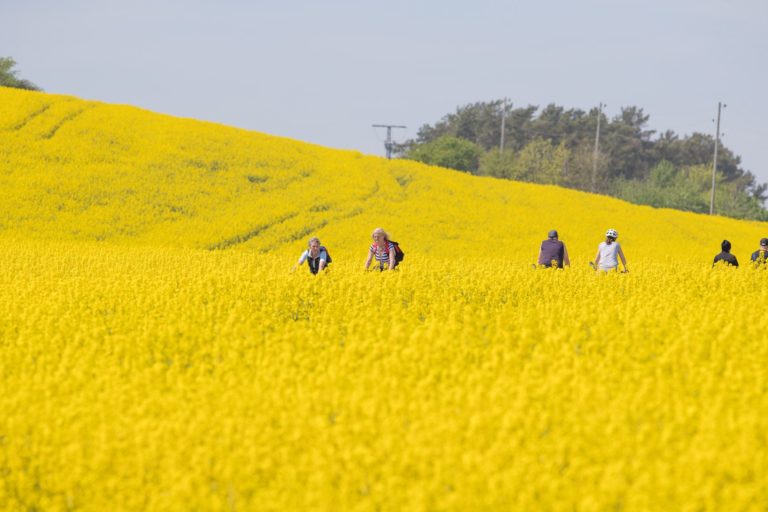 Die schönste Zeit des Jahres – Frühling … und auch der Sommer ist nicht mehr weit