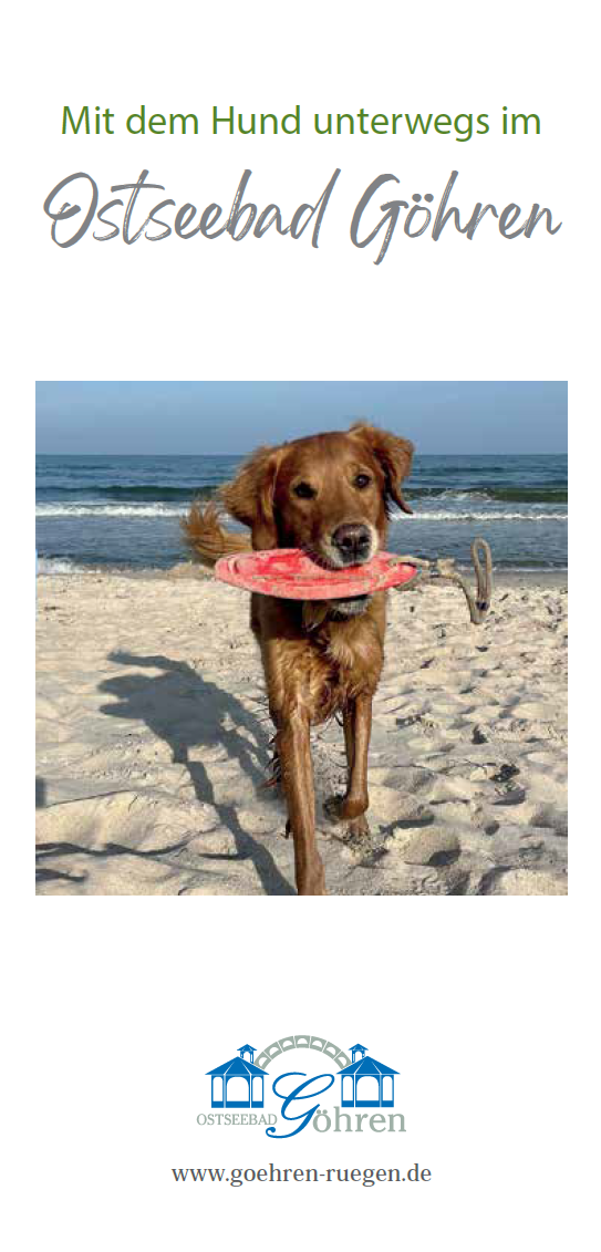 Hundeflyer 2026